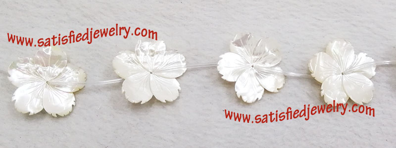 BSHELL0004 - 1 - 1.jpg