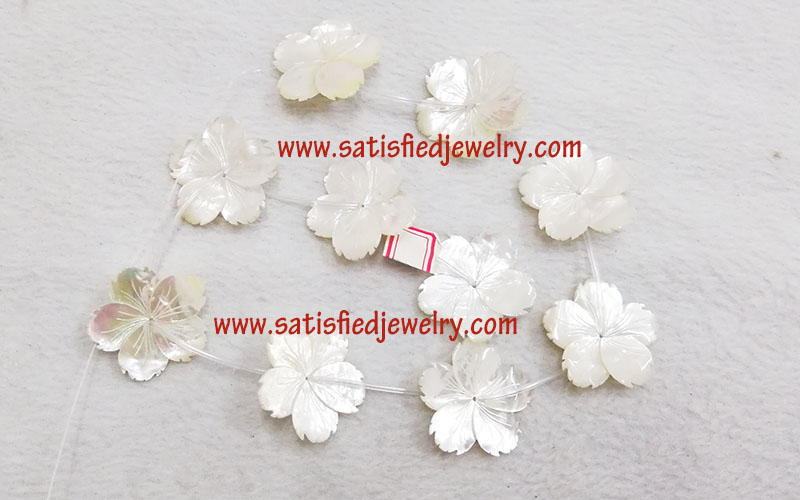 BSHELL0004 - 2 - 1.jpg