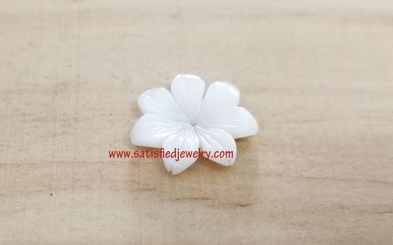 BSHELL0185 - 3 - 1.jpg