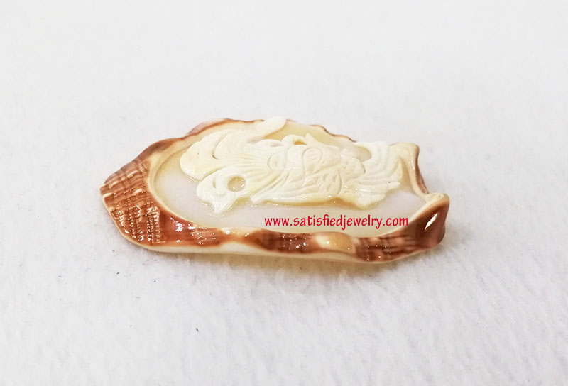 HQSHELL0242 - 3.jpg HQSHELL0242 - 3.jpg