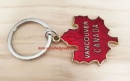 Keyrings with pendant - Keyrings0038