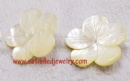 40mm Flat Shell Beads - BSHELL0002