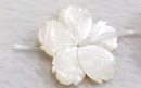 35mm Flat Shell Beads - BSHELL0004