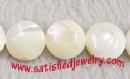 15mm Shell Beads - BSHELL0106