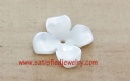 12mm Shell Beads - BSHELL0188