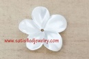 15mm Shell Beads - BSHELL0183